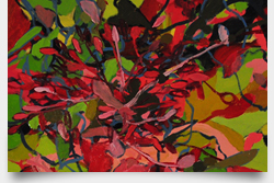 Bloom 5