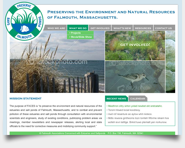 Preserve Falmouth